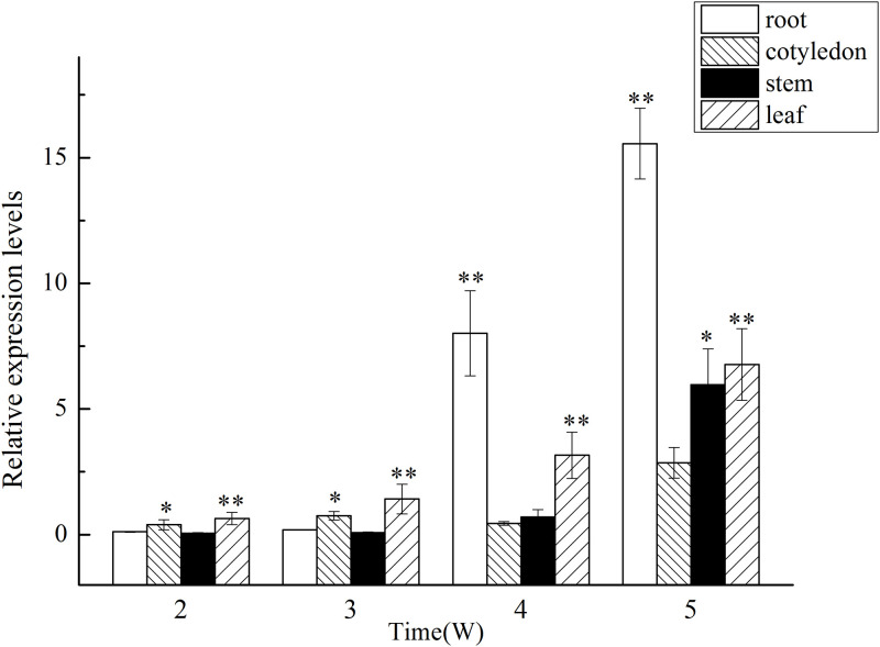 Fig 5