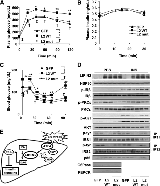 FIG. 6.