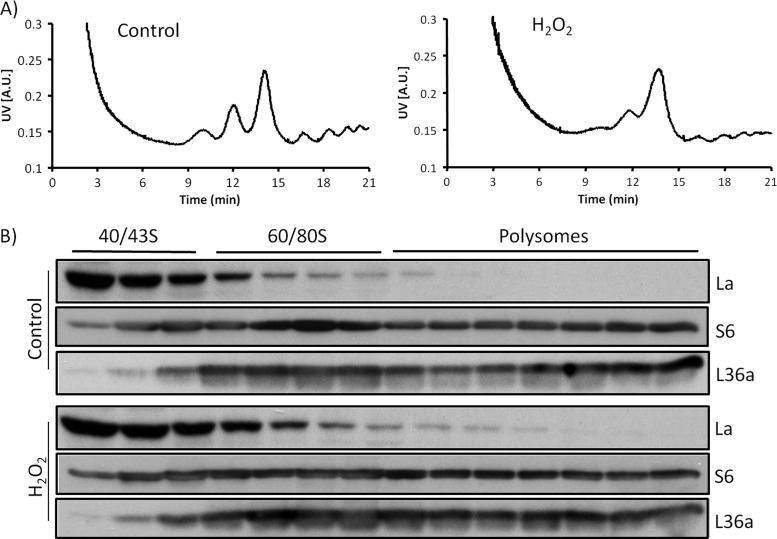 Fig. 10.