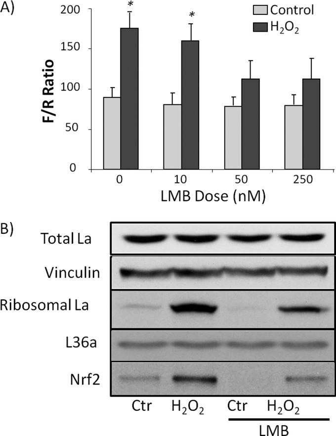 Fig. 9.