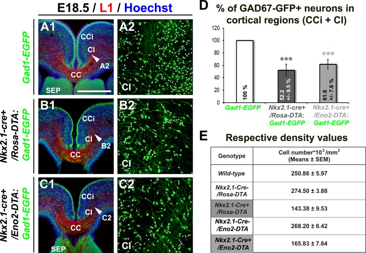 Figure 3—figure supplement 1.