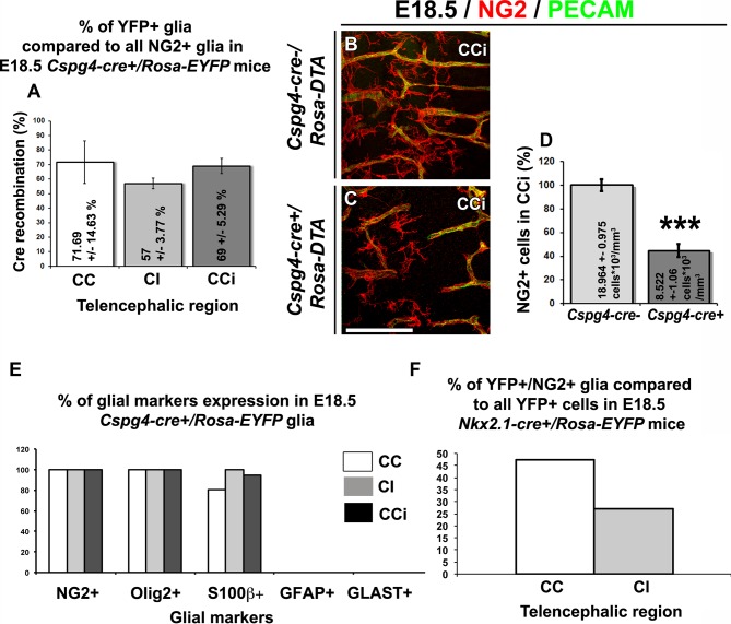 Figure 2—figure supplement 1.