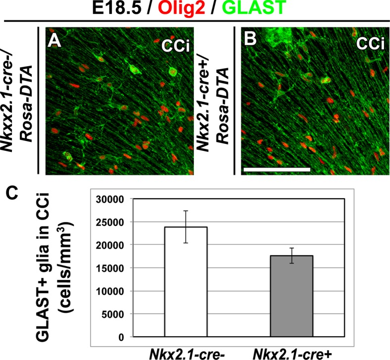 Figure 3—figure supplement 2.