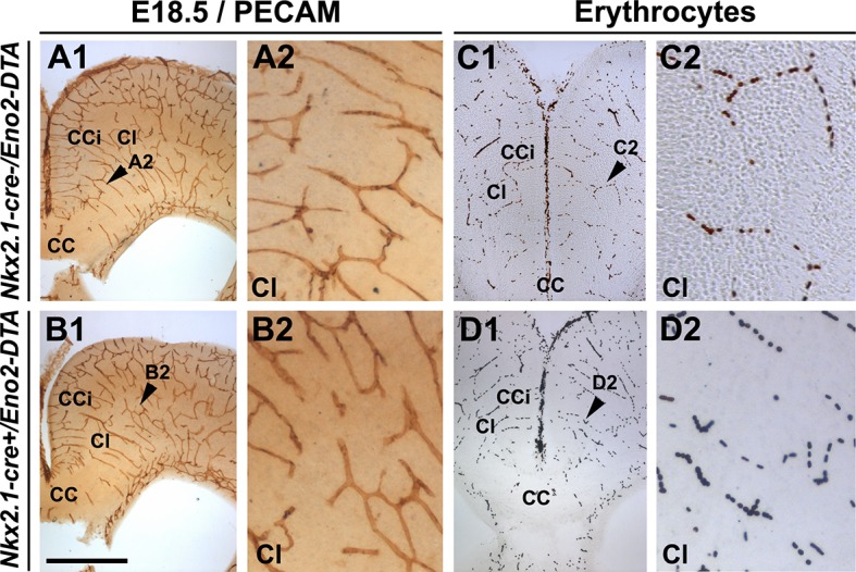 Figure 5—figure supplement 3.