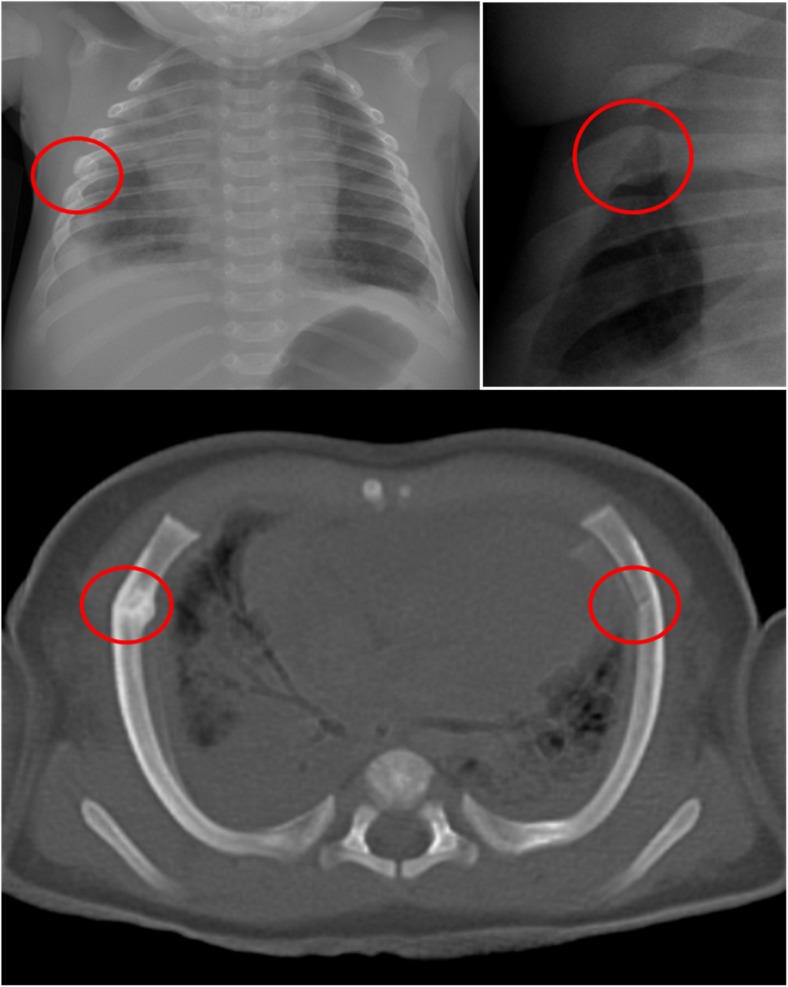 Fig. 6