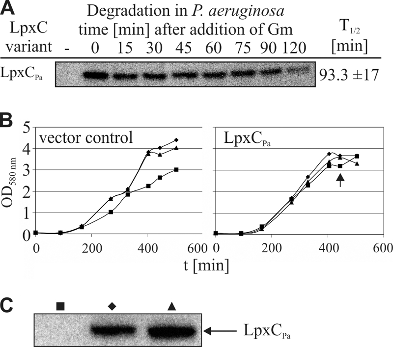 FIG. 7.