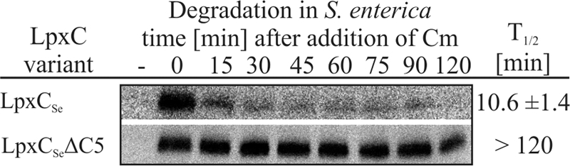 FIG. 6.