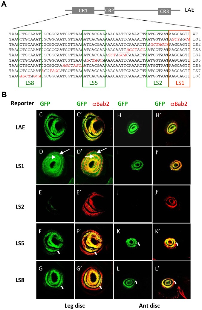 Figure 4