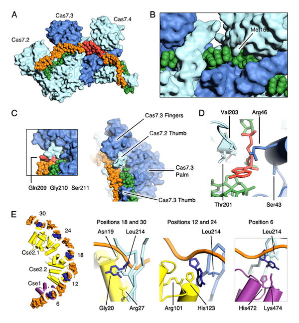 Fig. 4