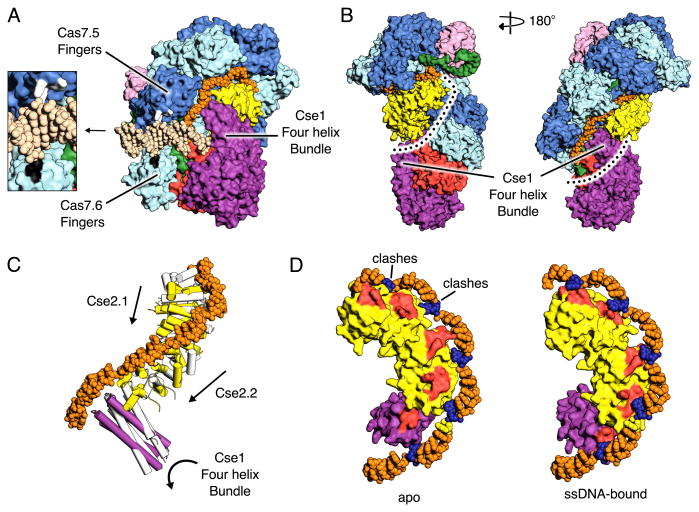 Fig. 6