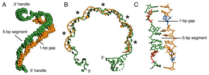 Fig. 2