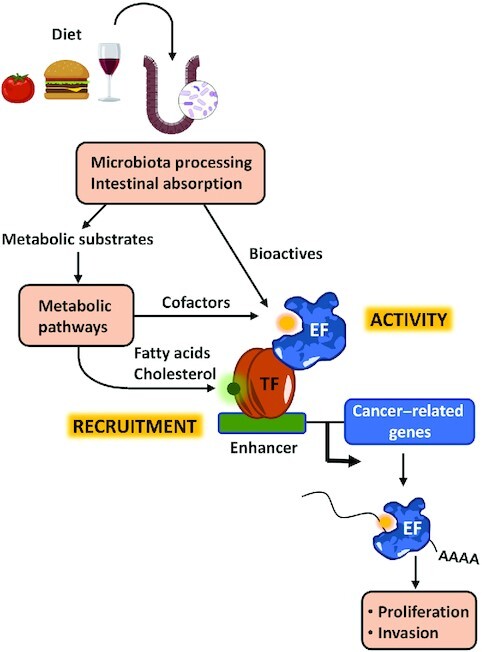 Graphical Abstract