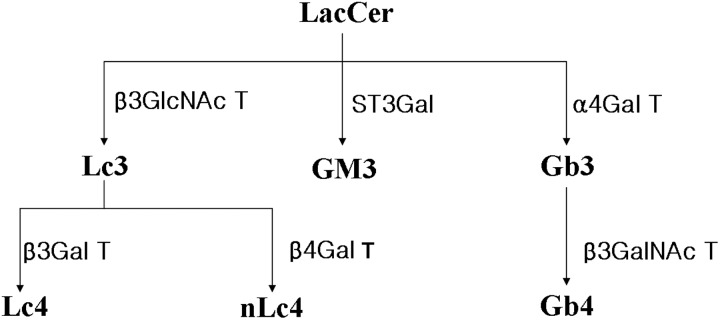 Scheme 1.