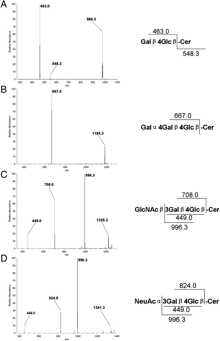 Fig. 2.