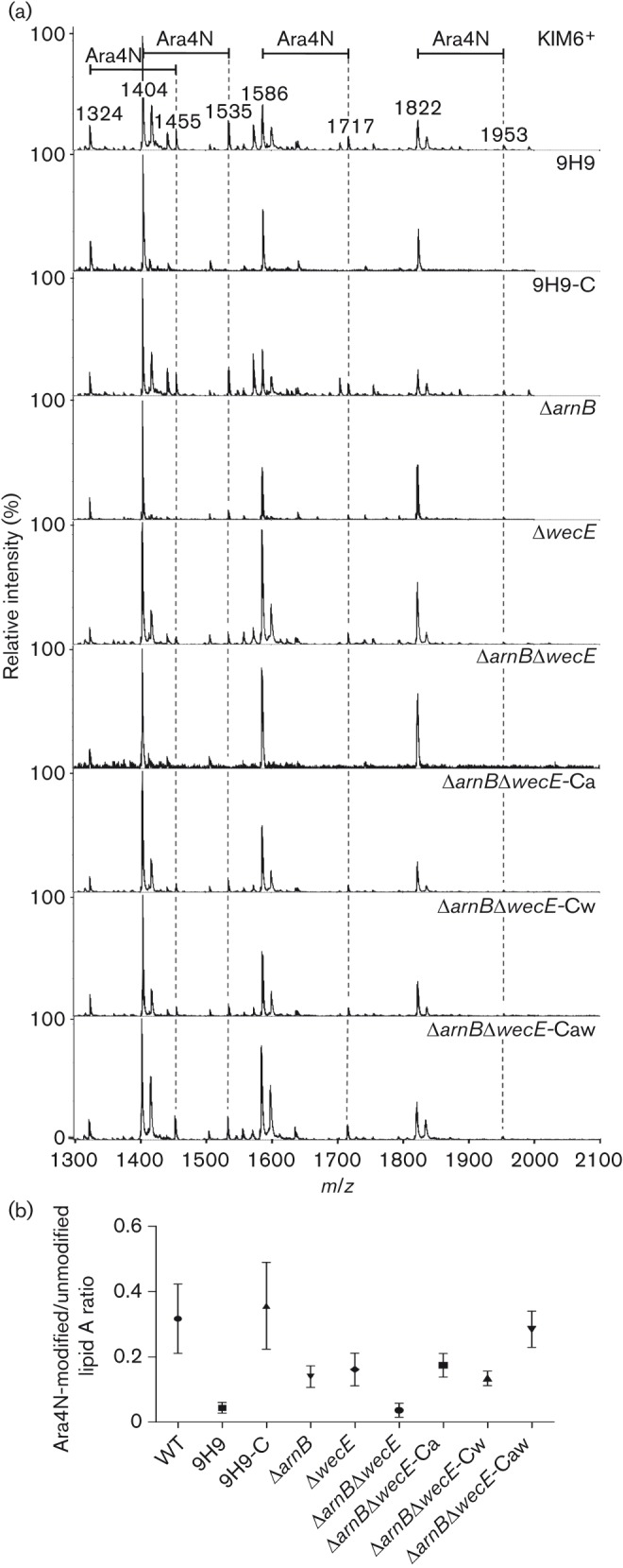 Fig. 1. 