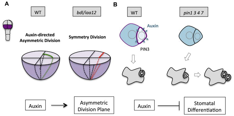 Fig 4