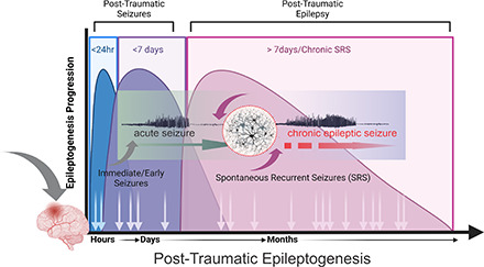 graphic file with name pharmrev.121.000375absf1.jpg