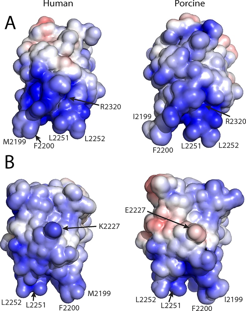 Fig 5