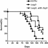 FIG. 7.