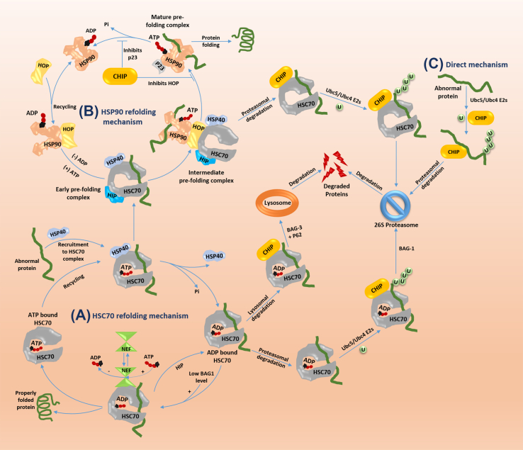 Figure 3