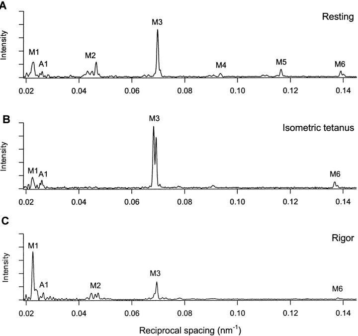 FIGURE 3