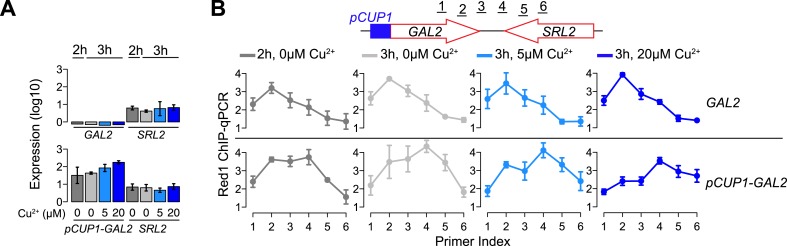 Figure 3—figure supplement 1.