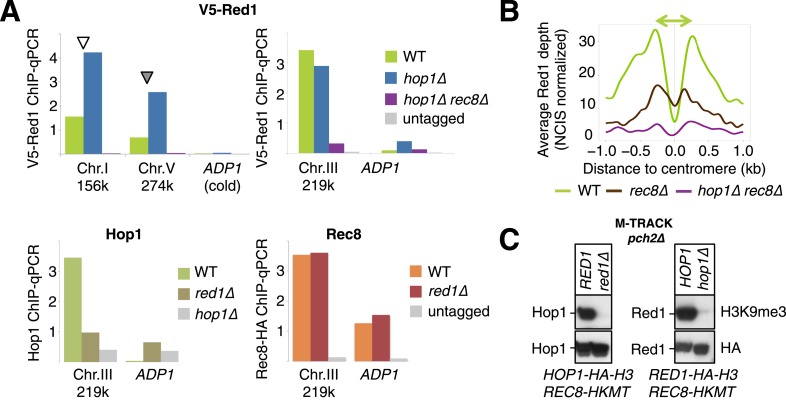 Figure 5—figure supplement 1.