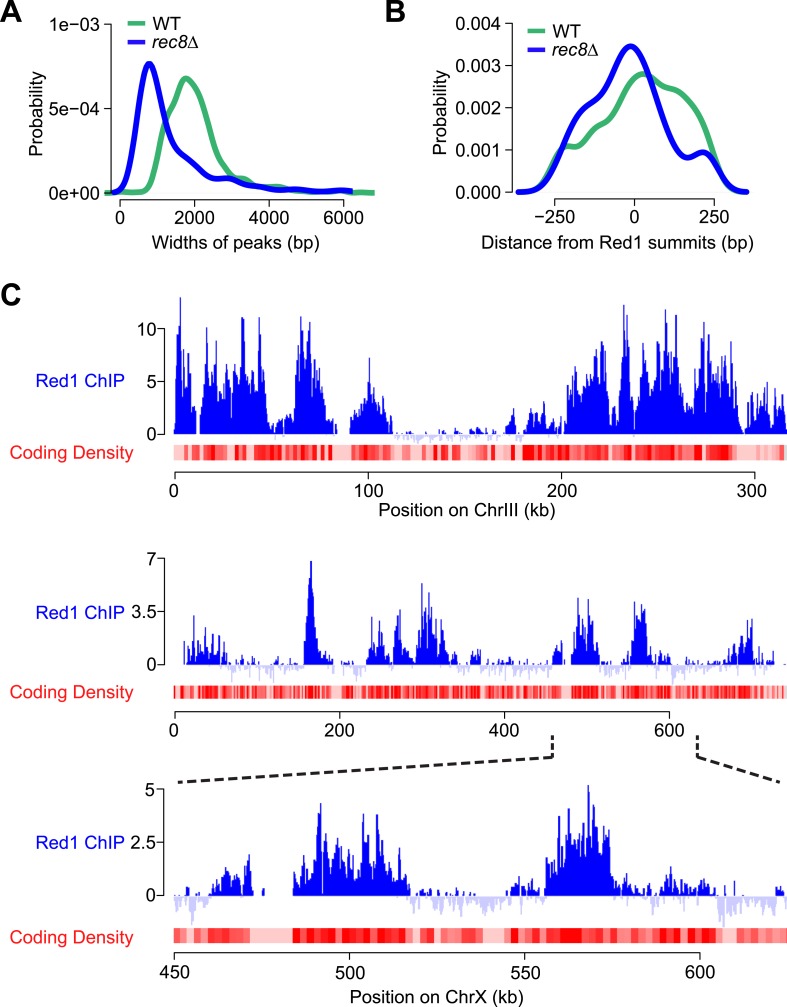 Figure 4—figure supplement 1.