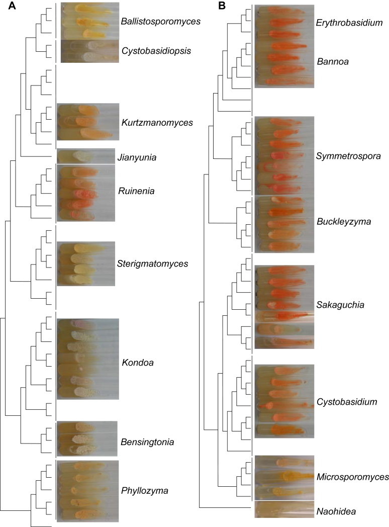 Fig. 3