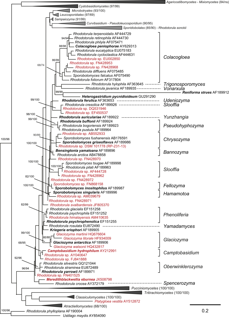 Fig. 6