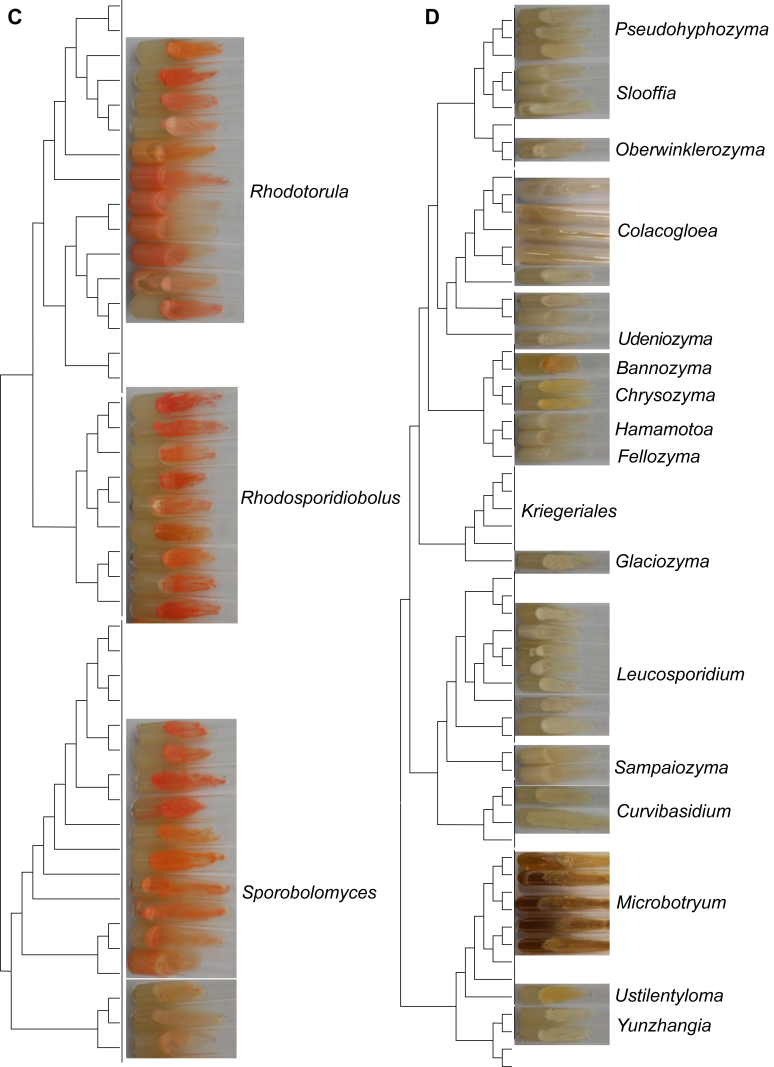 Fig. 3