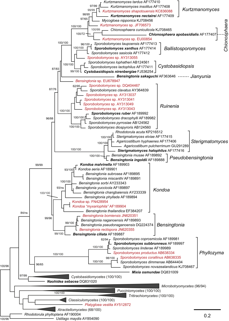 Fig. 4