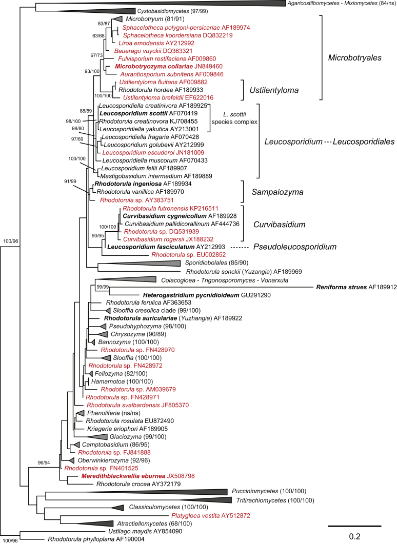 Fig. 7