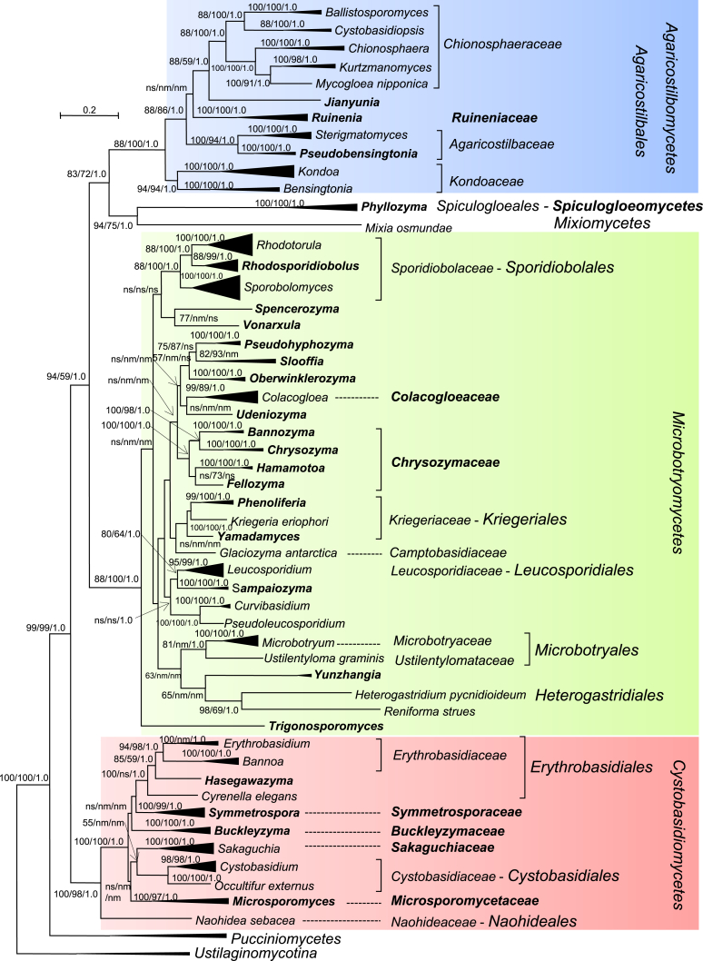 Fig. 1