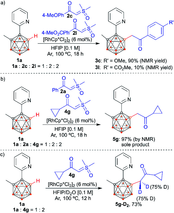 Scheme 8