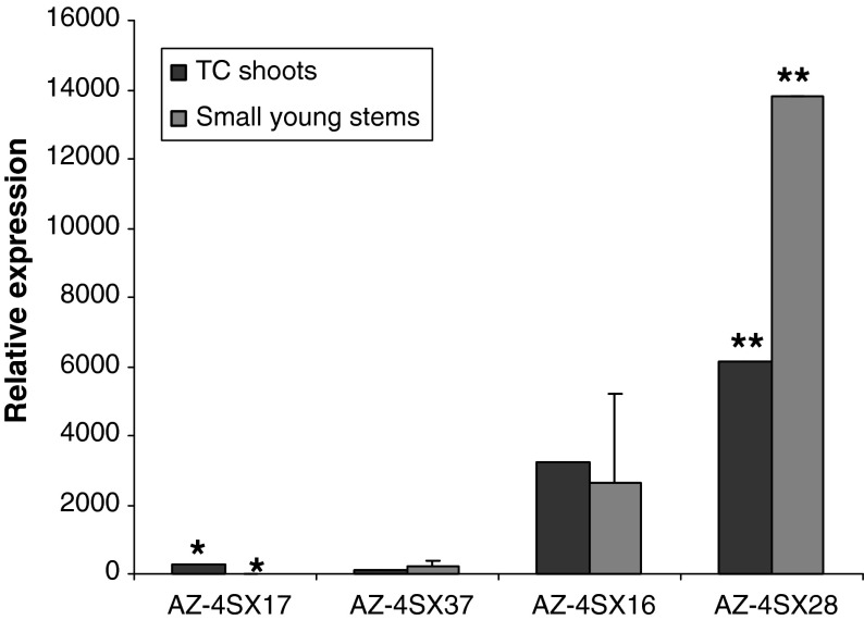 Fig. 2