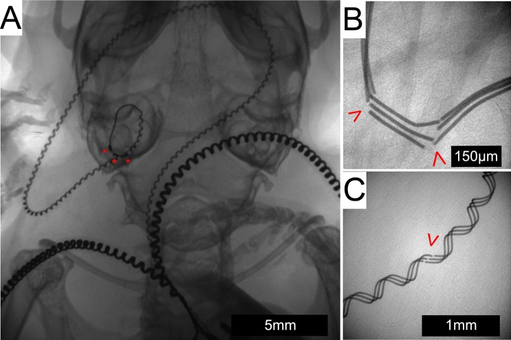 Fig 8