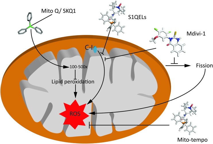 FIG. 6.