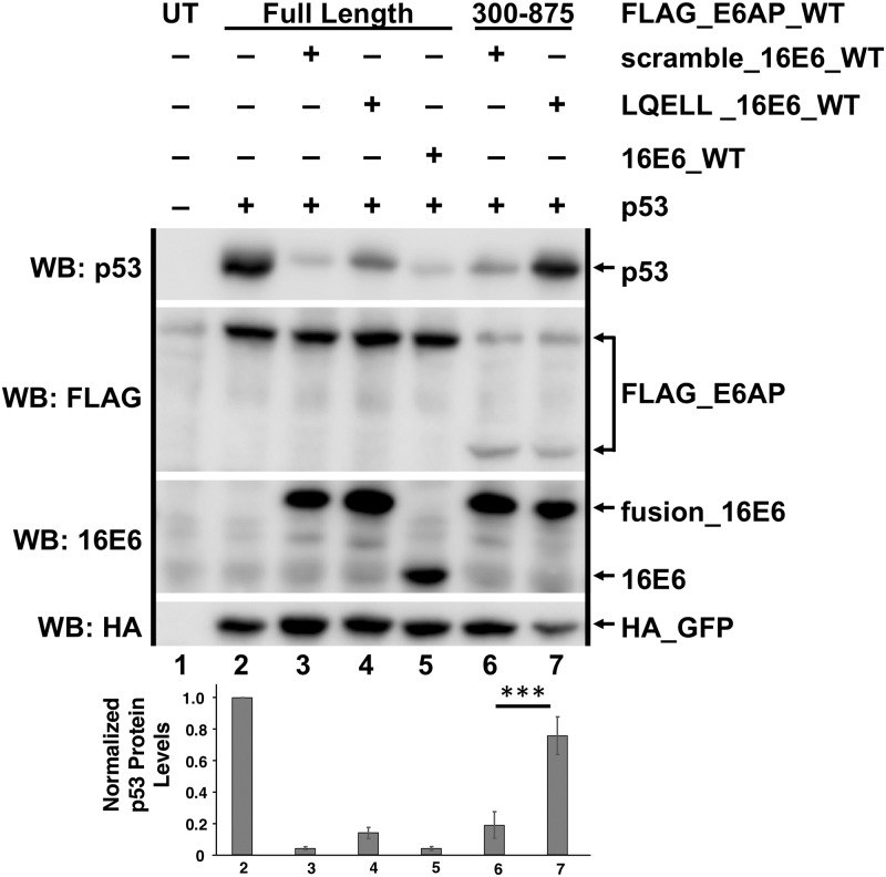 Fig 9