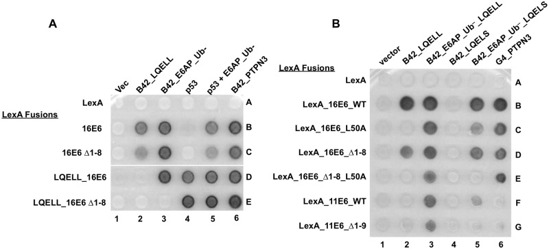 Fig 8