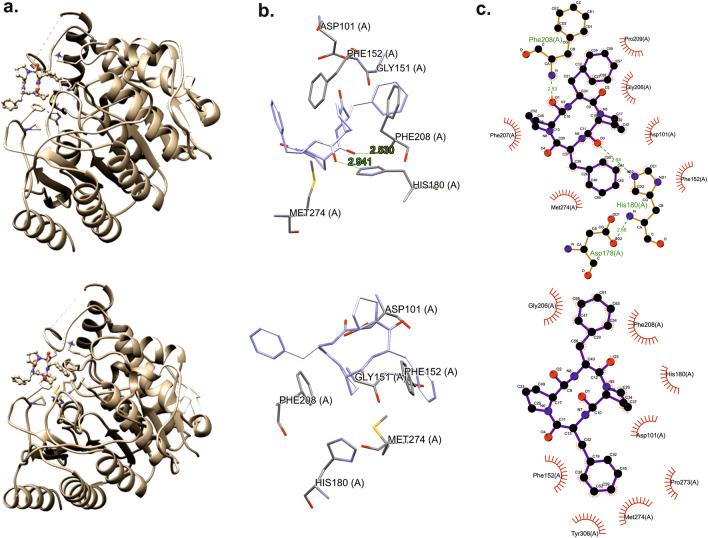 Figure 10