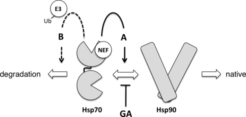 Figure 7.