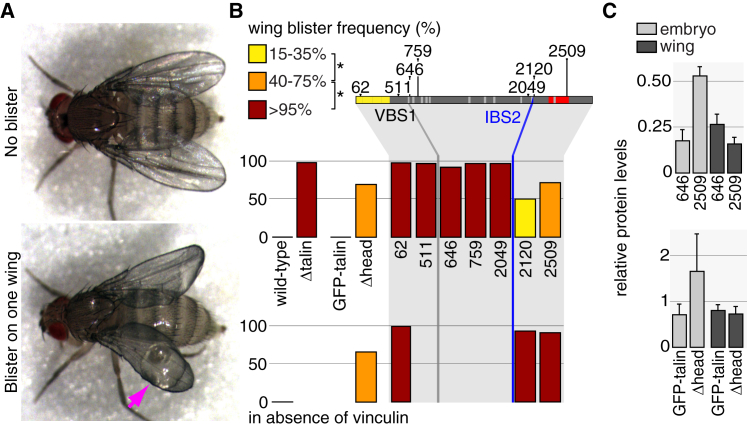 Figure 4