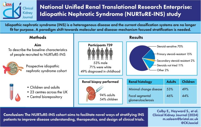 Graphical Abstract