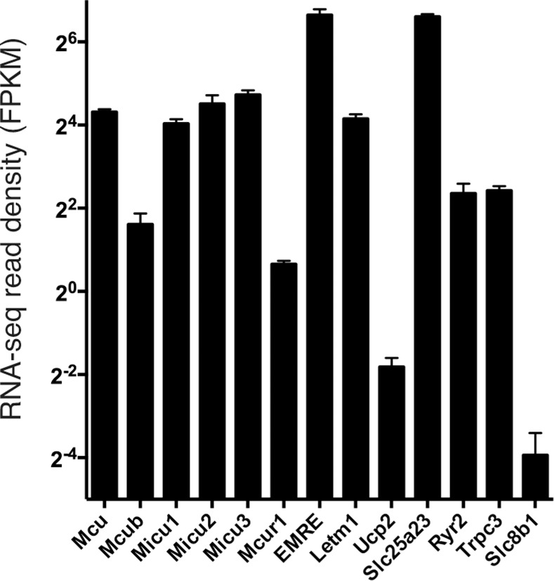 Fig 4