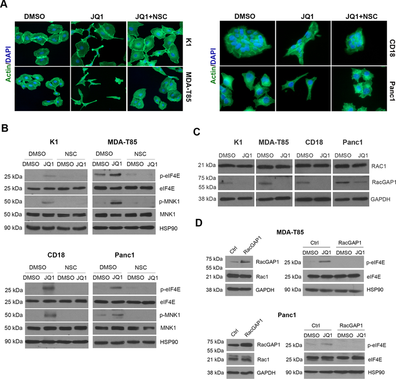 Figure 4: