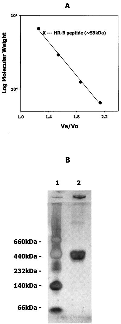 FIG. 5.