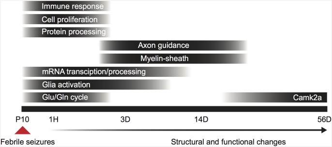 Fig 7