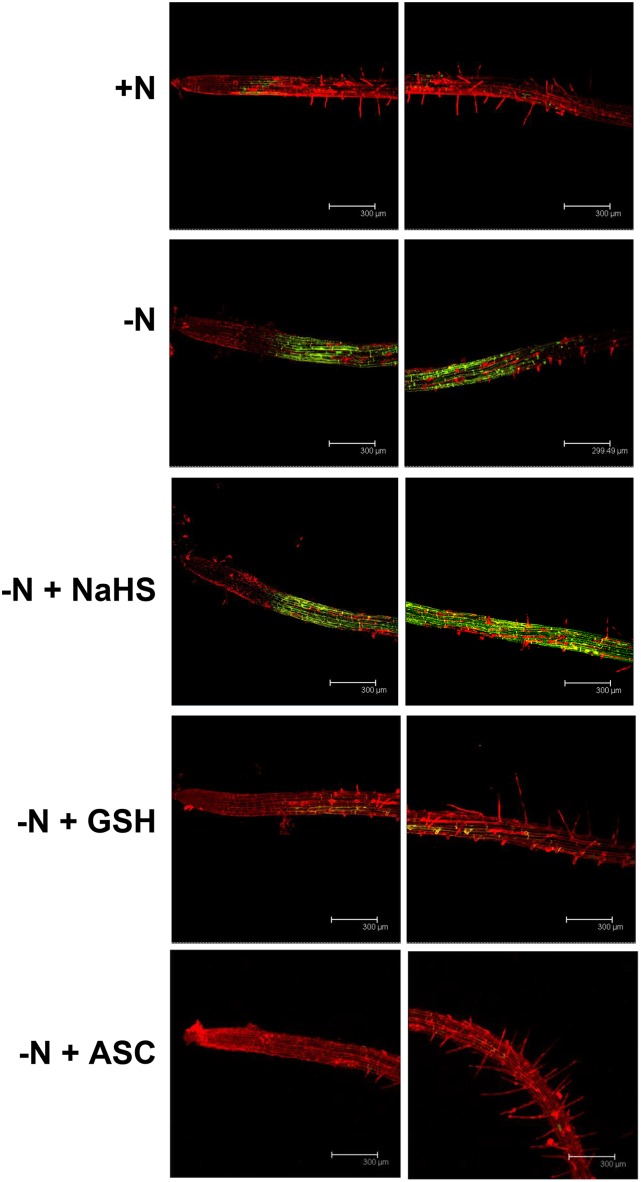 Figure 4.