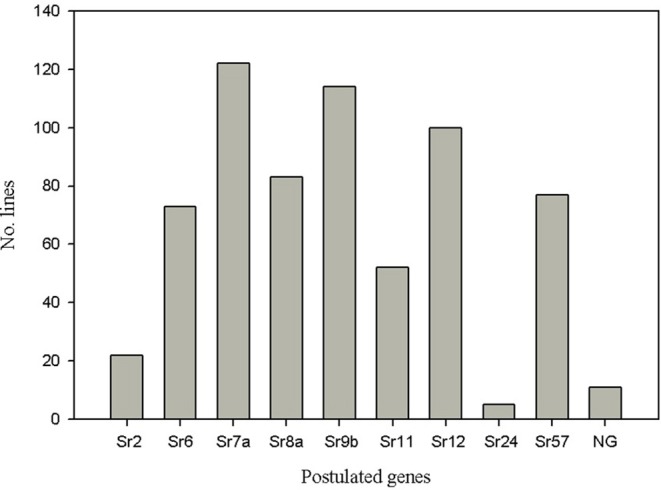 Figure 11